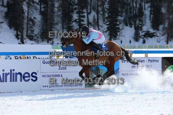 ET0Q0815 prot